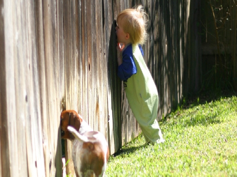 试管 34的卵泡深圳pet 试管厂家厦门试管的姐妹